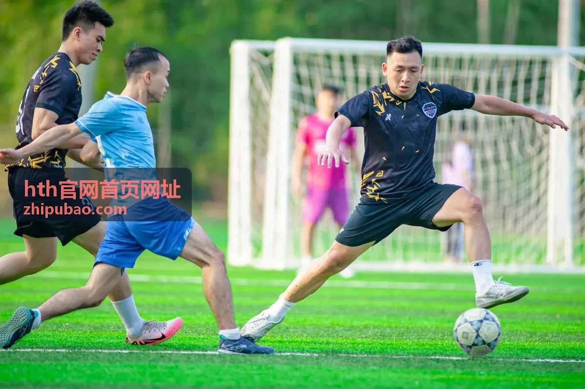 hth官网首页网址地址核验操作示意