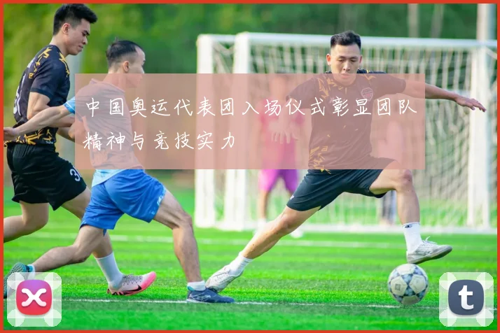 中国奥运代表团入场仪式彰显团队精神与竞技实力