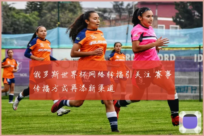 俄罗斯世界杯网络转播引关注 赛事传播方式再添新渠道