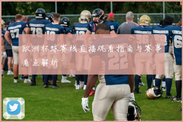 欧洲杯球赛线直播观看指南与赛事看点解析