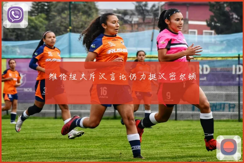 维伦纽夫斥汉言论仍力挺汉密尔顿