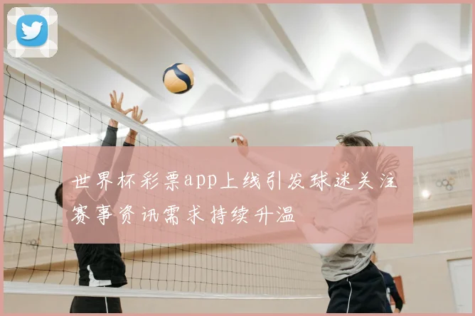 世界杯彩票app上线引发球迷关注 赛事资讯需求持续升温