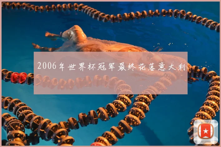 2006年世界杯冠军最终花落意大利