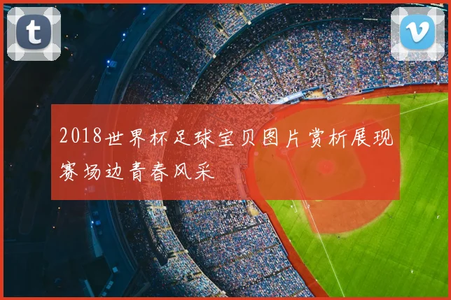 2018世界杯足球宝贝图片赏析展现赛场边青春风采